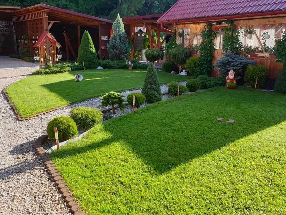 Pensiunea Gianina Арієшень Екстер'єр фото